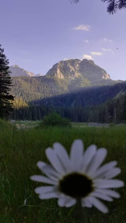 Rooms Apartment Durmitor Žabljak Eksteriør billede