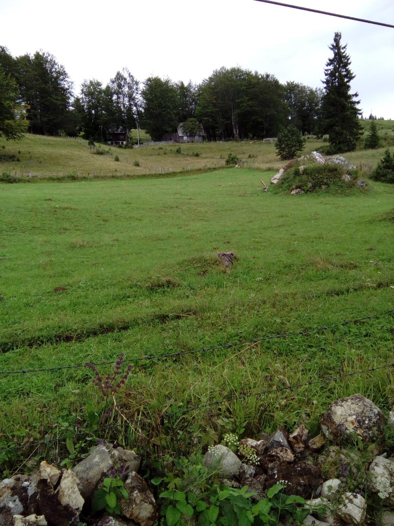 Rooms Apartment Durmitor Žabljak Eksteriør billede