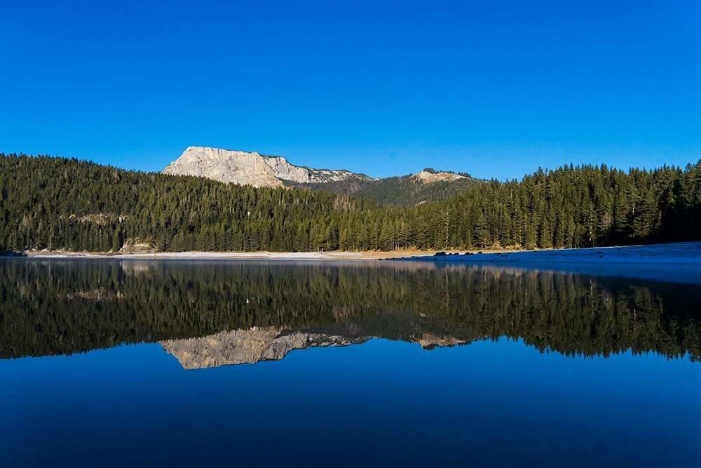 Rooms Apartment Durmitor Žabljak Eksteriør billede