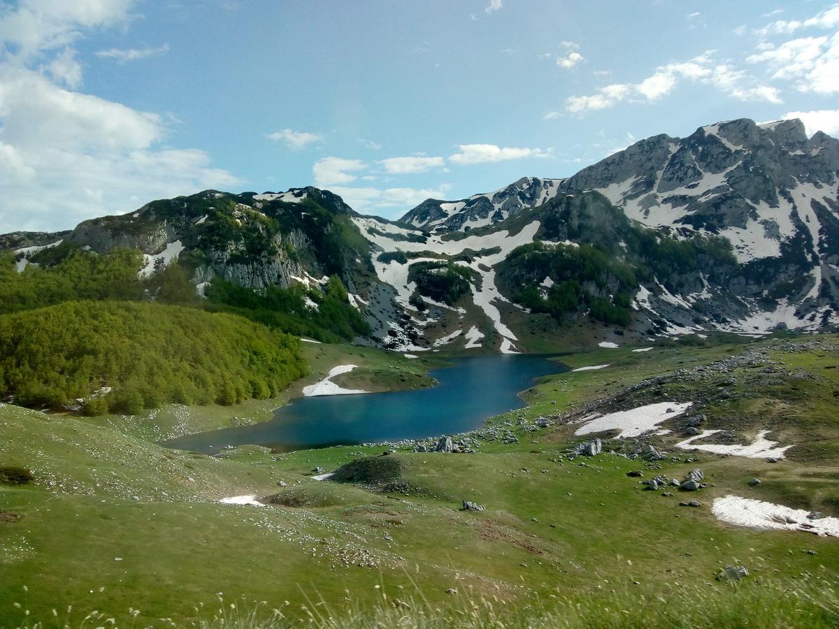 Rooms Apartment Durmitor Žabljak Eksteriør billede