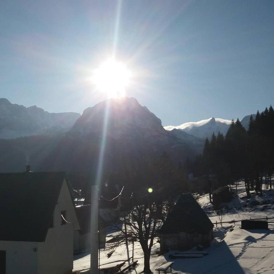 Rooms Apartment Durmitor Žabljak Eksteriør billede